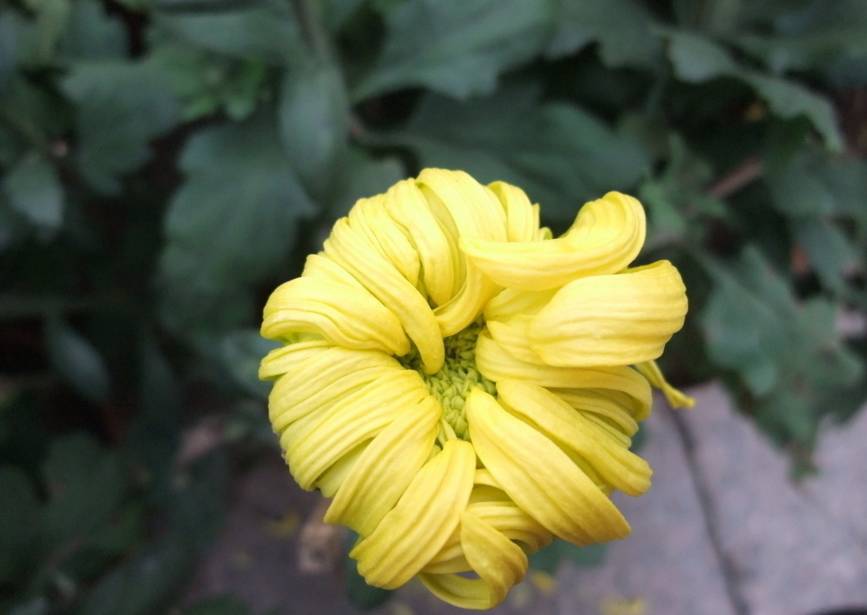 一个简单的动作解决健康问题,10个动作证明你健康