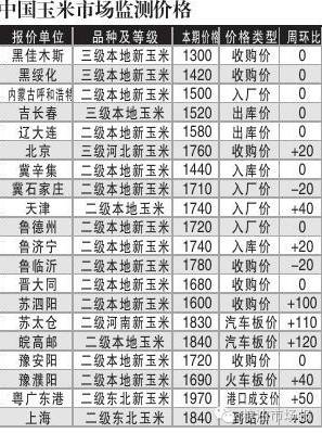 11.14小麦价格最新行情,11月粮油市场走向