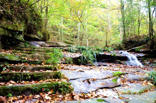 阳坝：遗落在时光深处的慢生活