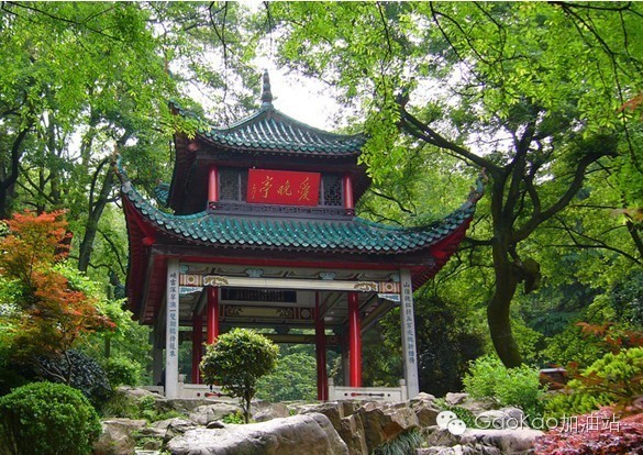 高考专区湖南大学,高考志愿怎么报湖南大学