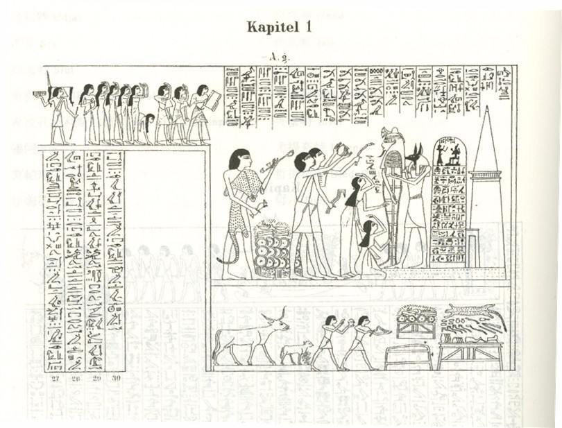 每天给你带来精彩的好书推荐,推荐一本有价值的好书