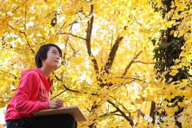 成都西部银杏第一村 (成都市周边哪里的银杏最多最美)