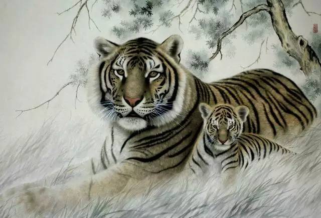 老虎和狮子哪个后肢力量更厉害,古代老虎和狮子对战的纪录