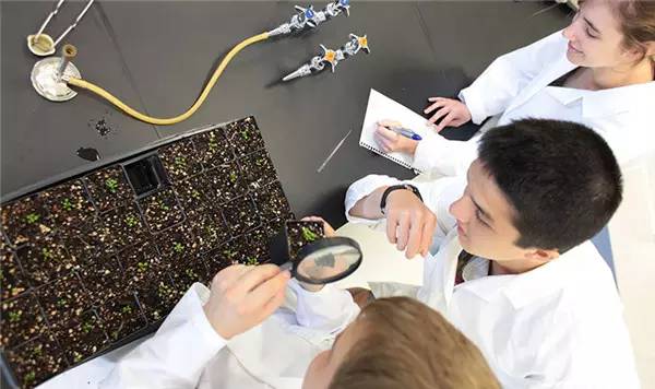 最新鲜!加拿大哪些大学最靠谱?谁实力碾压全场,谁憋屈不服只能垫底,这结果也是有点没想到!