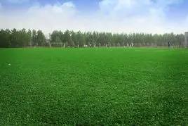 史上最让人心酸的空难,令人心碎的空难