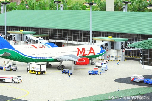 乐高积木成人款植物多肉,小玩具乐高