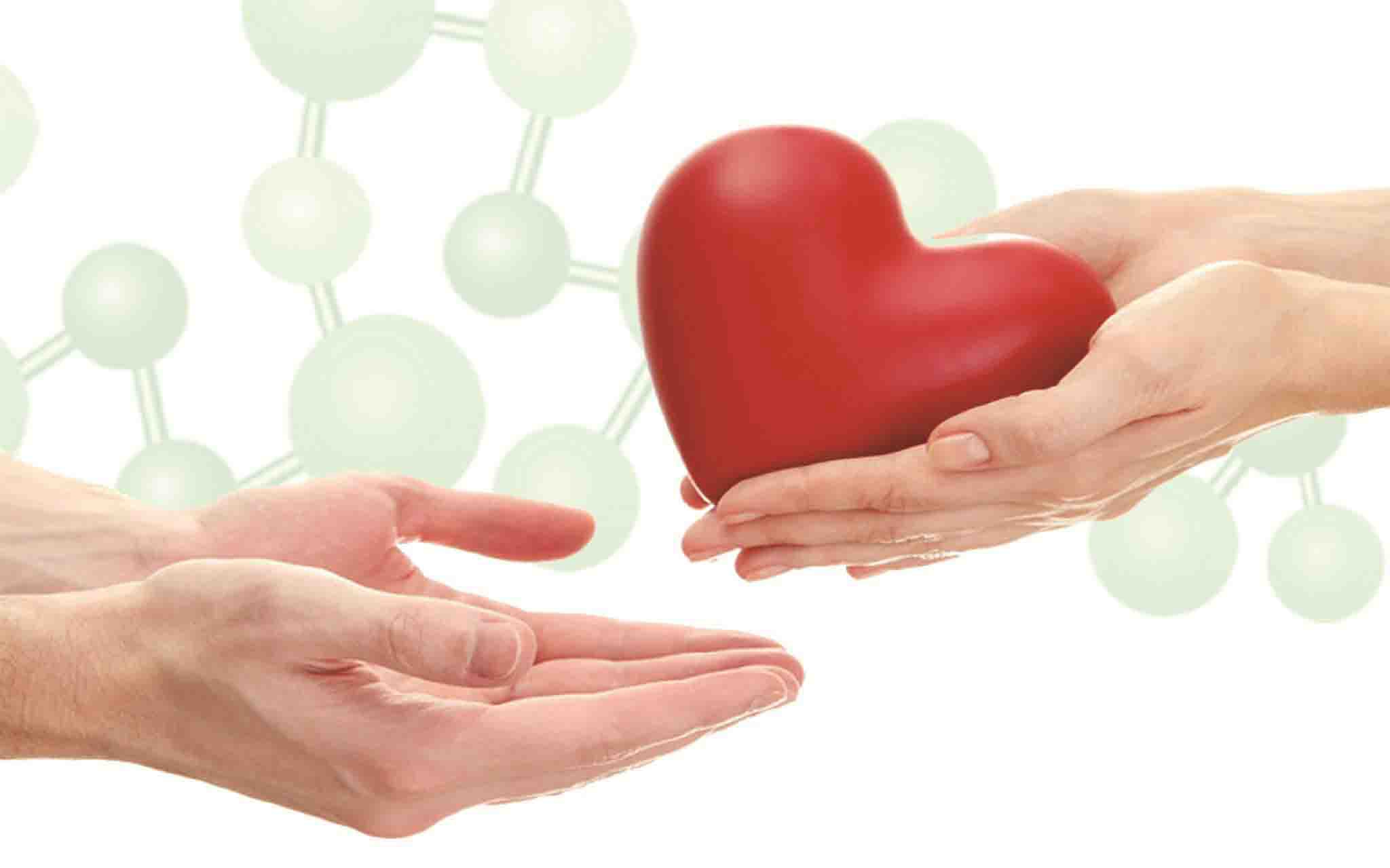 济宁市白血病大病救助,儿童白血病去哪里寻求救助