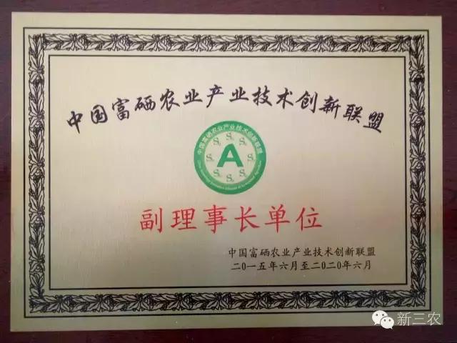 晚熟品种富硒黄梨,今年的黄梨丰收不丰收