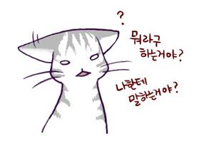 去韩国生活必须知道的事,去韩国需要知道的事冬季