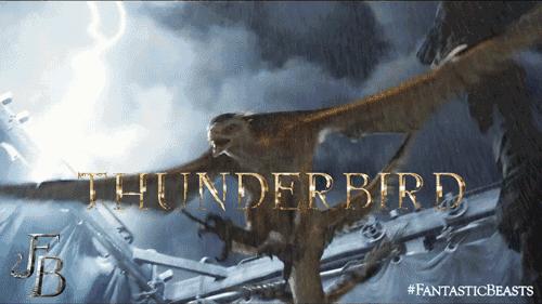 哈利波特怎么进入魔法世界,北京哈利波特的魔法世界