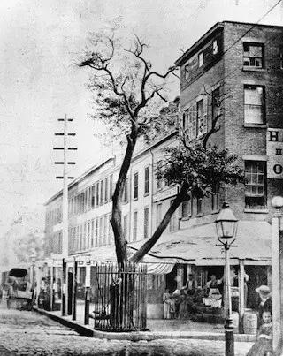 好物分享脱毛仪奥克斯,kiehls爽肤水哪个好用