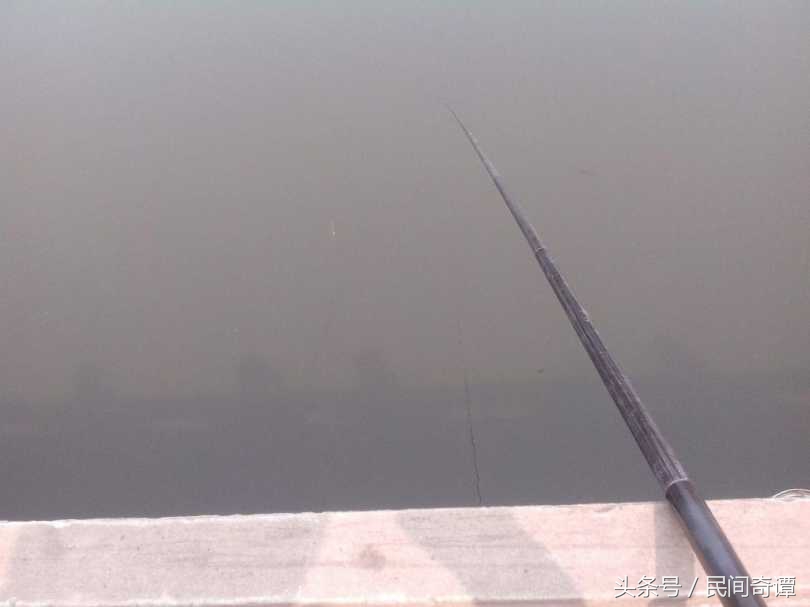 钓鱼钓一会就没口了怎么办,钓鱼钓一会就钓不上来