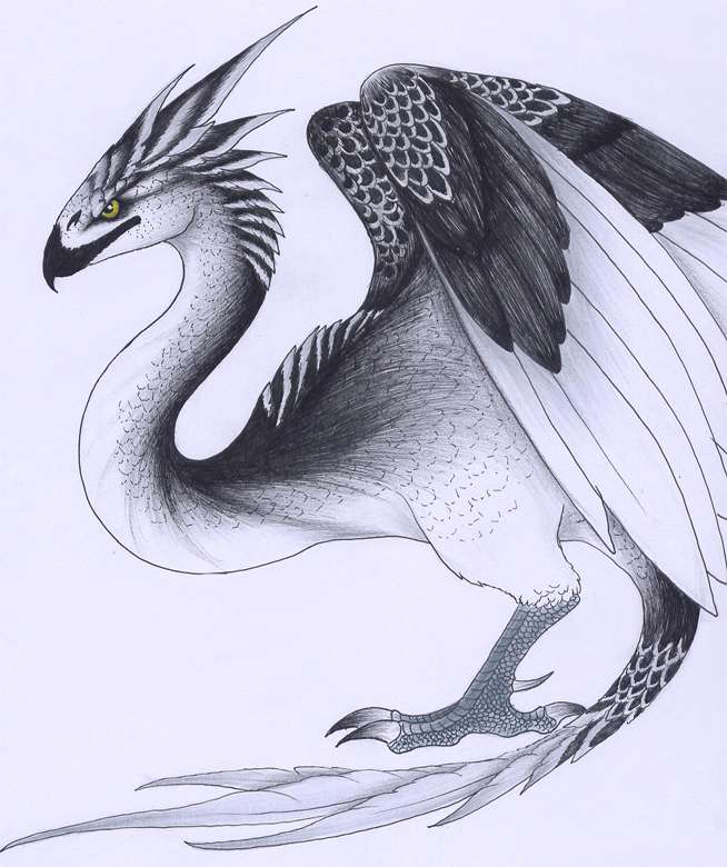 神奇动物的魔法合集,魔法世界神奇动物名单