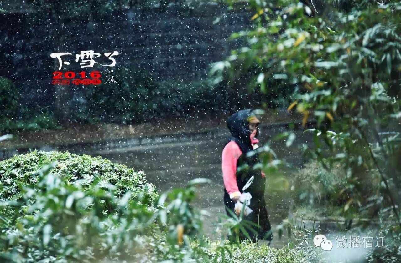 雪中宿迁，素颜都美到窒息！