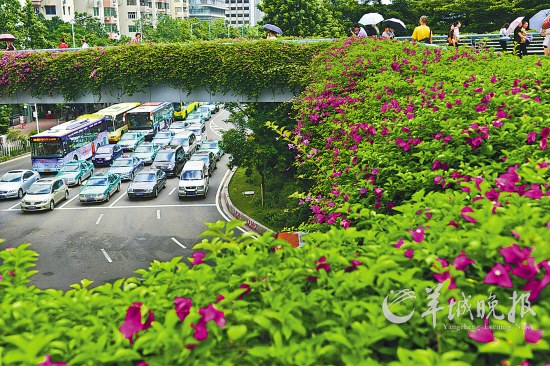 在广州生活是什么体验,广州生活体验