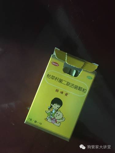 金毛从成年开始养,金毛养成