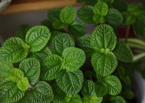 怀孕了怎么防止厨房隐患,孕妇能长时间在厨房做饭吗