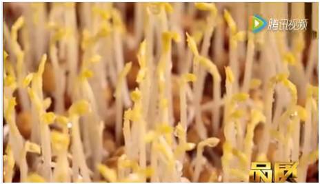 喝酵素真的有那么神奇吗,喝的酵素究竟有没有用