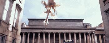 读了麻瓜麻鸡魔法入门，《神奇动物》会好看100倍