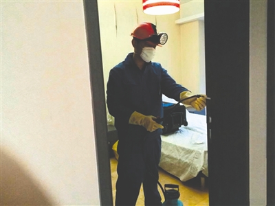 白蚁的防治与传播,白蚁危害标准