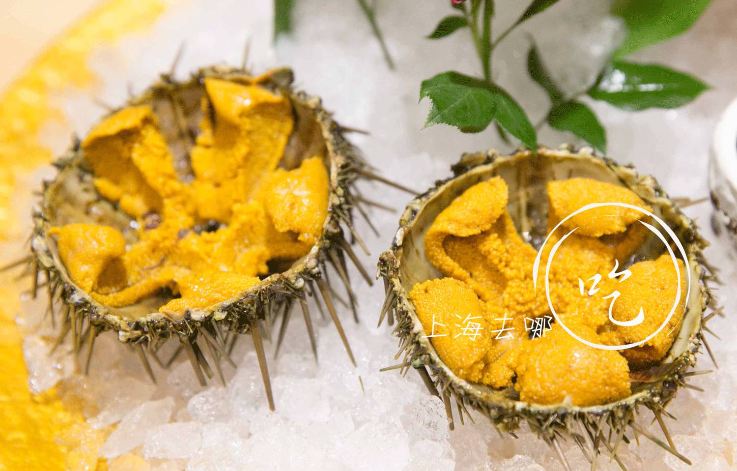 上海最好的十家日料放题店,日料放题店推荐