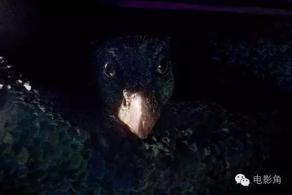 神奇动物在哪里28个彩蛋,神奇动物在哪里2结尾彩蛋