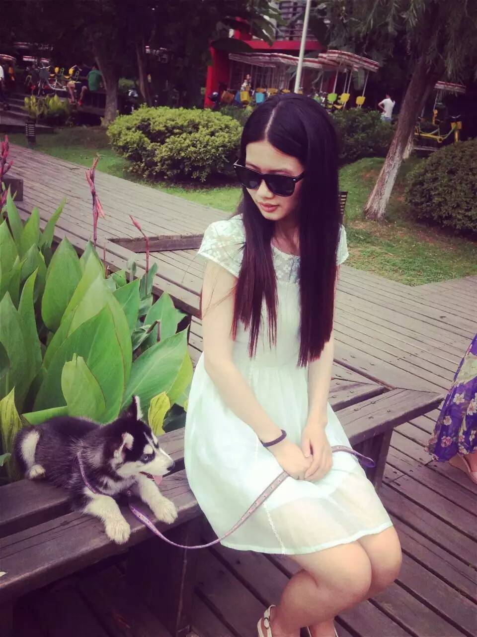 终于知道为什么不喜欢养狗了,为什么很喜欢狗狗又不敢养