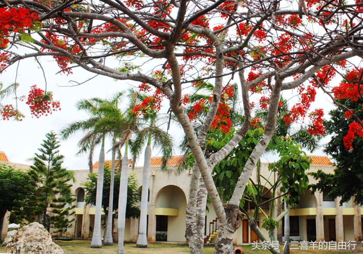 古巴：穿过雪茄的烟雾，沉沦浓情加勒比