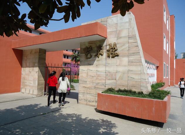 驻马店校园足球培训学校,河南省驻马店第二高级中学足球队