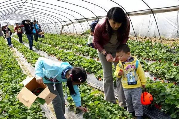 上海附近农家乐包吃住的有哪些,上海周边农家乐包吃住二日游推荐