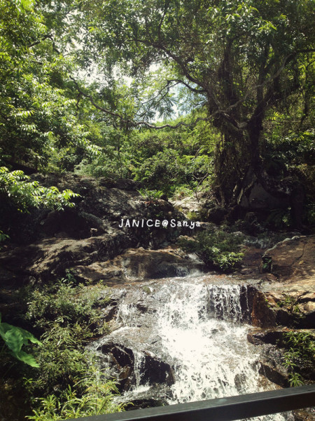 森林氧吧游玩攻略,宝界森林公园游玩攻略