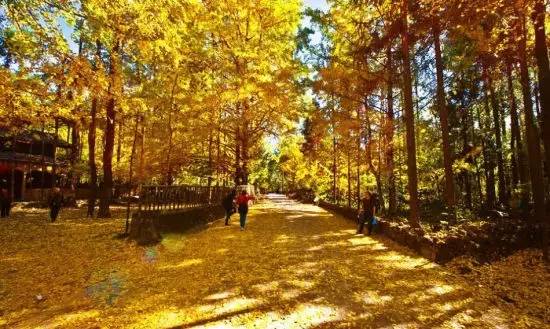 最近昆明哪里风景比较好,昆明周边的绝世美景