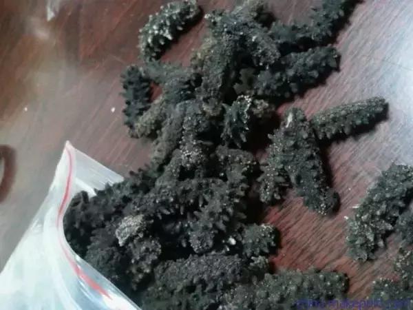 市场上600至1000元一斤的海参,低价即食海参内幕