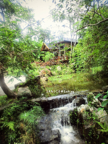 森林氧吧游玩攻略,宝界森林公园游玩攻略