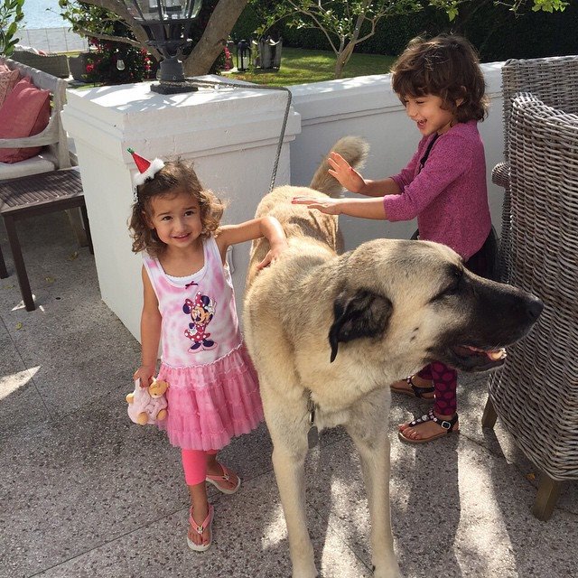 盘点那些维密天使,维密天使最美的瞬间