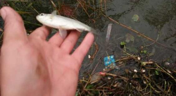 钓鱼人太牛！大风大雨中垂钓也能迎来鲤鲫大丰收