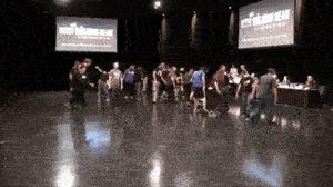 河北细狗抓兔子视频,抓兔子的细狗