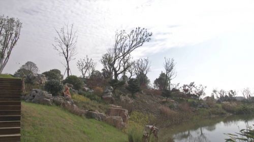 扬州版“百草园”等你来！冬季仍是翠绿鹅黄，色彩斑斓！