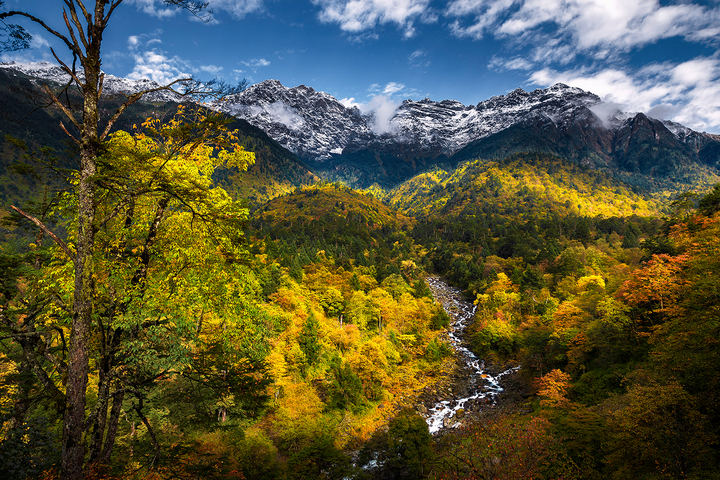 二郎山雪景,天全二郎山冰雪节