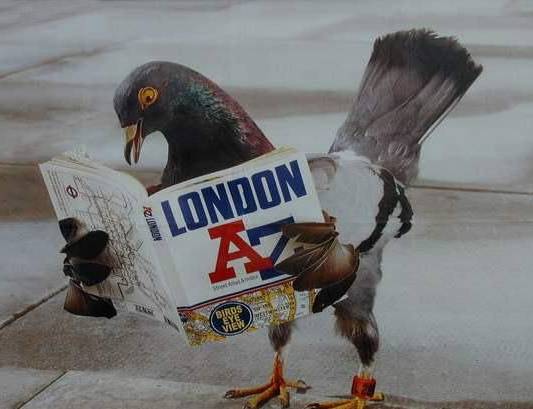 如果觉得国庆7天短,接下来你会知道7天有多长