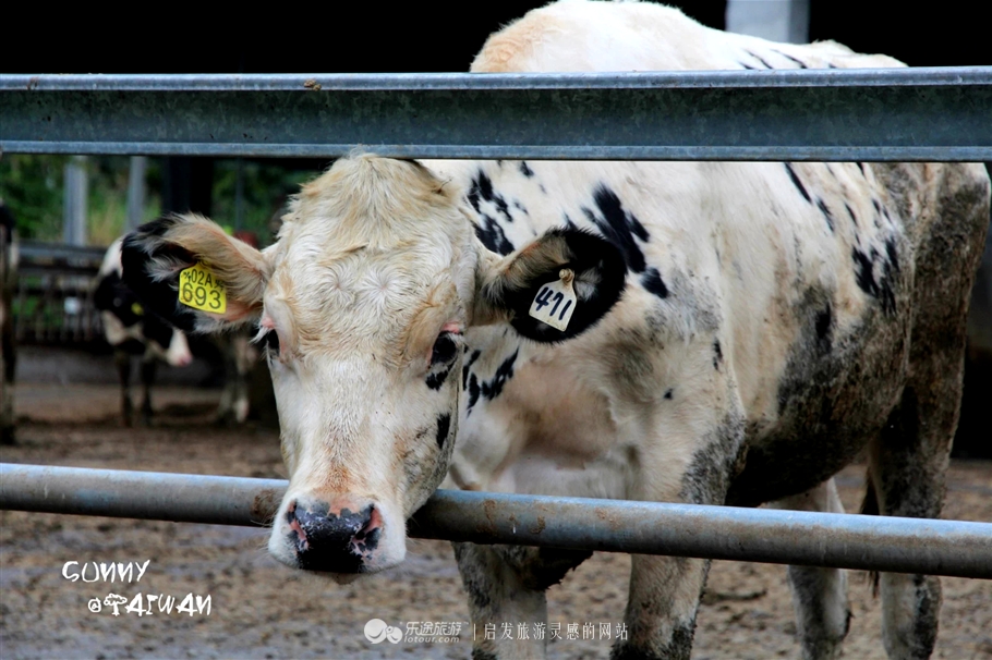 垦丁到花莲旅游攻略一日游,垦丁到高雄一日游攻略路线