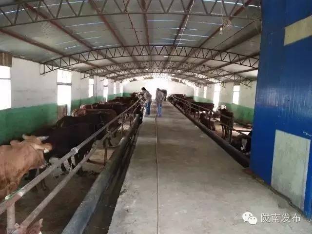 脱贫攻坚战上的巾帼担当,脱贫路上展现巾帼风采