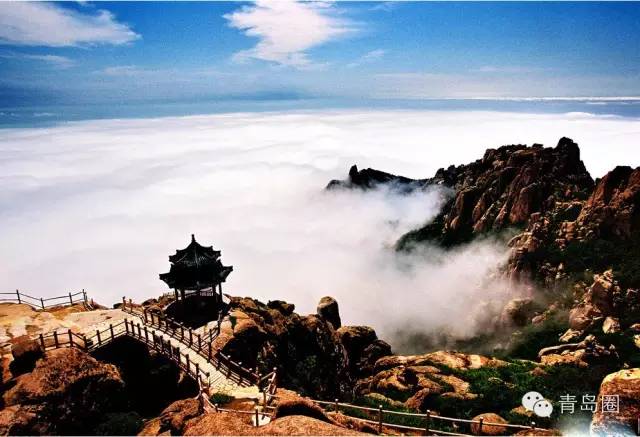 作为周口人你应该知道哪些,作为青岛人对青岛的热爱和感受