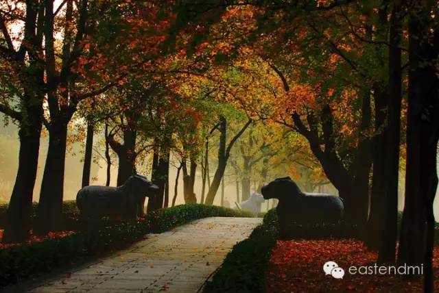 我来到你的城市女声快速版,适合citywalk的湖北城市