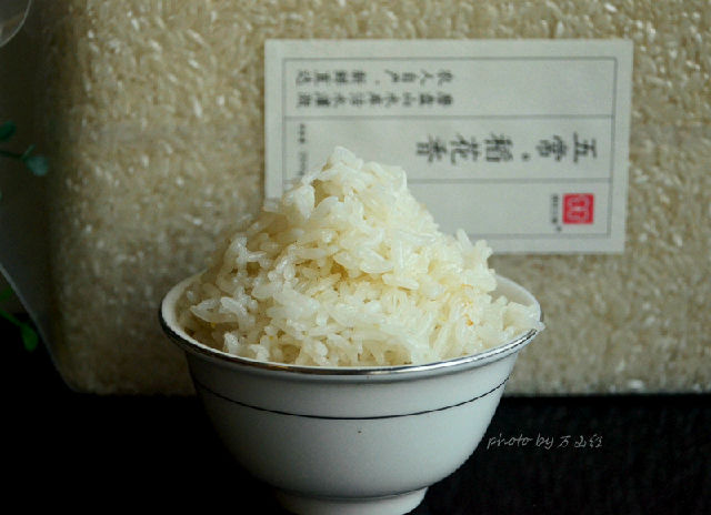 五常稻花香体验报告