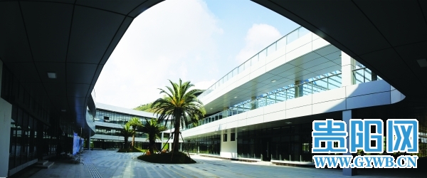 贵州省大健康医药产业发展现状,贵阳大健康产业发展