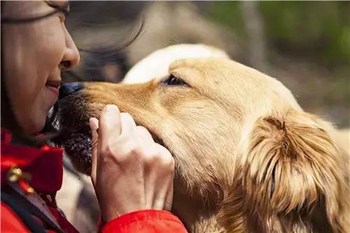 活动回顾｜欧帝亿主题巴士回顾--畅游幽谷神潭