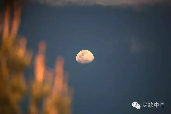 西部民歌推荐王洛宾,西部歌王王洛宾改编的歌曲有哪些