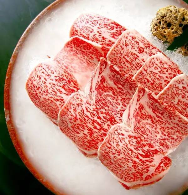 神奇火锅自助,神奇火锅日本