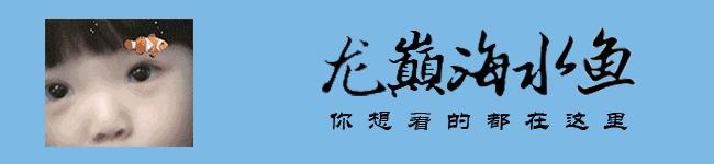 简单粗暴开啤酒,简单开个缸